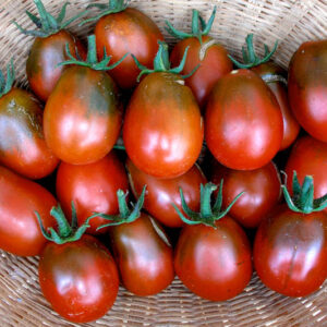 Τομάτα (Βελανίδι Μαύρο)