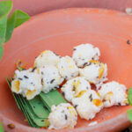 Πασχαλίτσες (100 Προνύμφες) - Ωφέλιμα έντομα