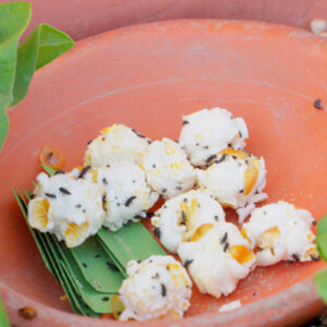 Πασχαλίτσες (100 Προνύμφες) - Ωφέλιμα έντομα